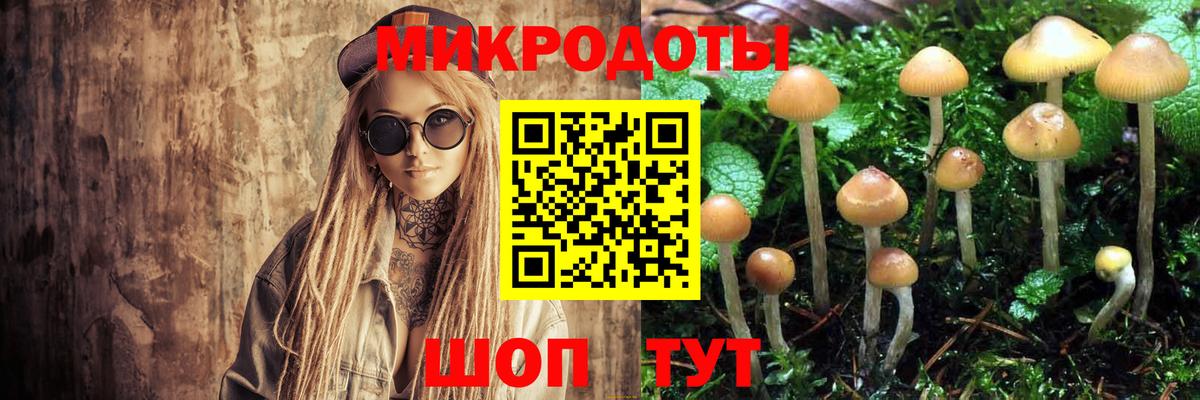 Псилоцибиновые грибы ЛСД  как найти закладки  Новосибирск  Вход с VPN 